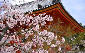 Stay SAKURA 京都 祇園北